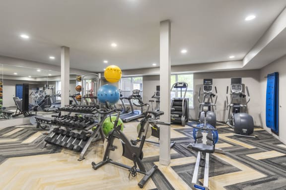 the gym is equipped with cardio equipment and weights at Avant at the Arboretum, Illinois, 60532