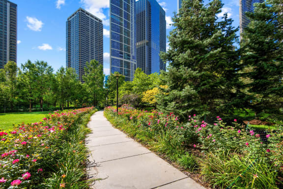 a path through a park with flowers and skyscrapers in the background at Shoreham and Tides, Chicago Illinois