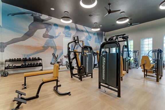 a gym with cardio equipment and a wall mural of exercise equipment at Summerwind, Pearland Texas