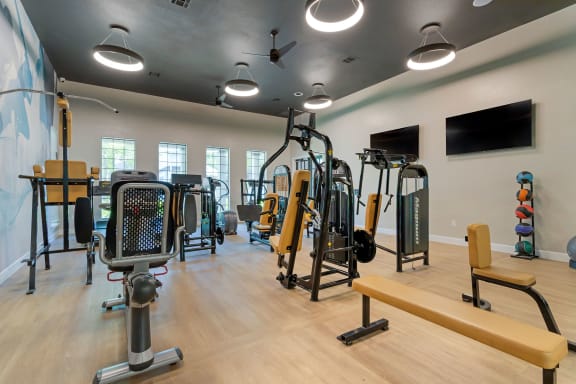 a gym with weights and cardio equipment and a tv on the wall at Summerwind, Pearland