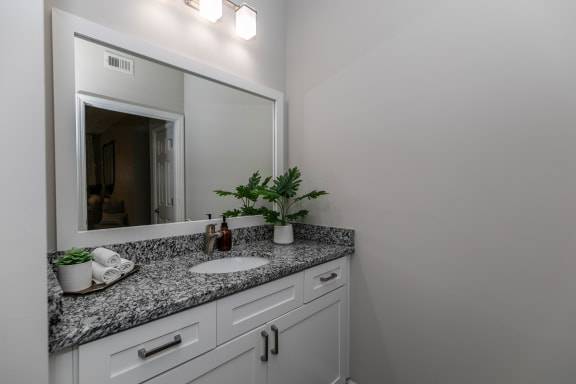 a bathroom with a sink and a mirror at Willowest in Lindbergh, Atlanta, 30318