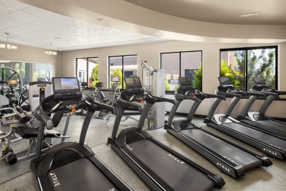 Gym with weights and cardio equipment at 15 Bank Apartments, White Plains, NY, 10606