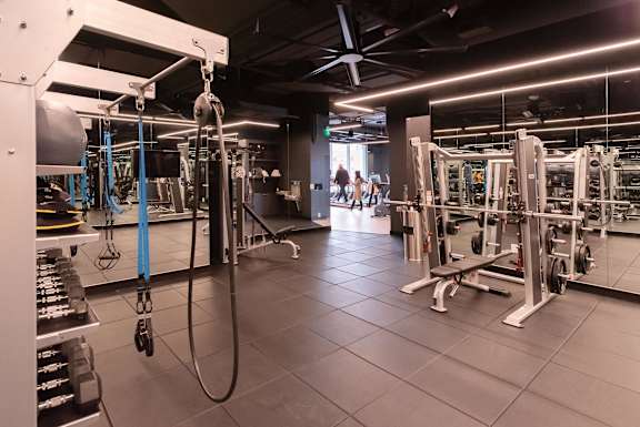 A gym with a variety of equipment including a squat rack and a bench press.