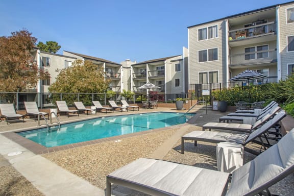 a swimming pool with lounge chairs in front of an apartment building at Delphine on Diamond, San Francisco, 94131