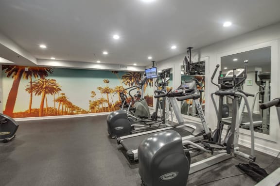 a gym with weights and a wall mural of palm trees
