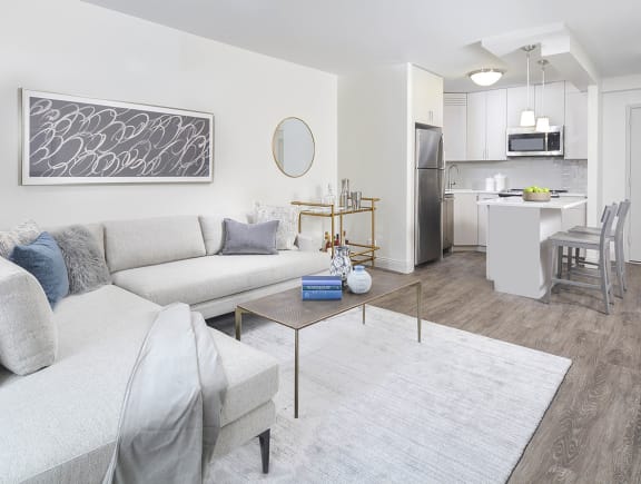 Living Area With Kitchen at River North Park Apartments, Chicago, IL, 60654