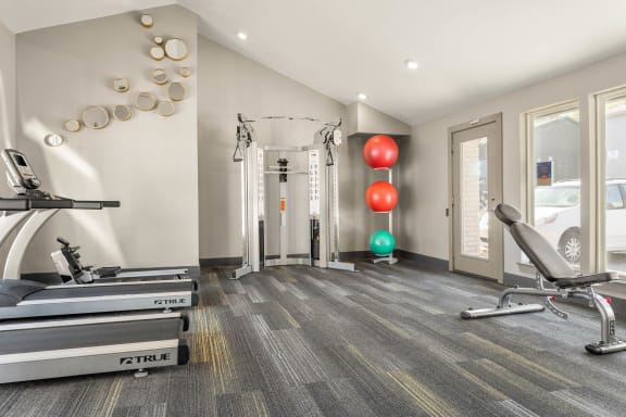 the gym