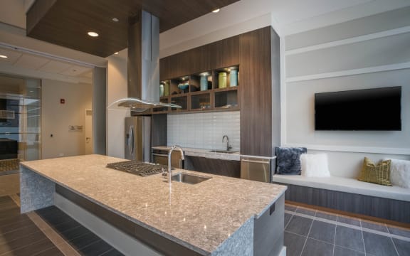 Granite Countertop Kitchen at The Elle Apartments, Chicago, Illinois