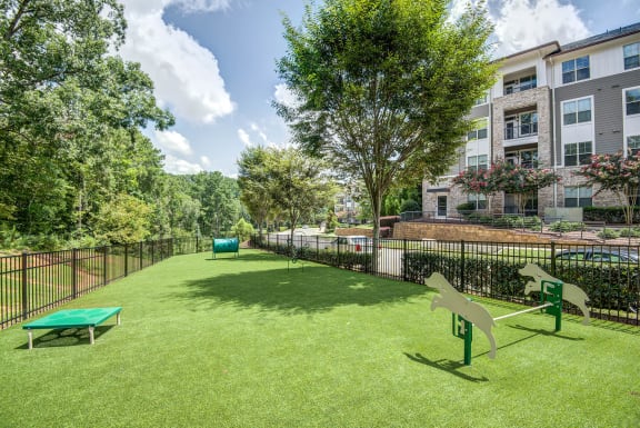 community dog park | The Tribute Apartments in Raleigh, NC