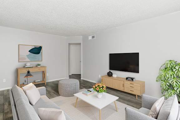 Furnished apartment living area shown at The Cara Apartments.