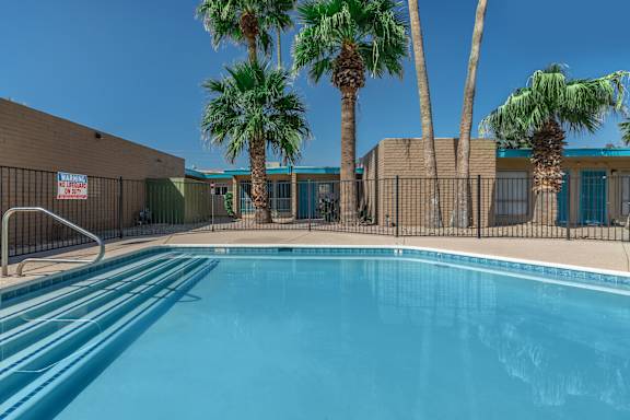 A pool surrounded by palm trees and a fence.