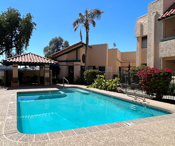 A swimming pool in a backyard with a house and palm tree in the background.