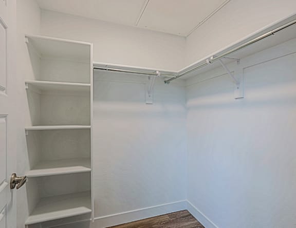 A white closet with shelves and a door.