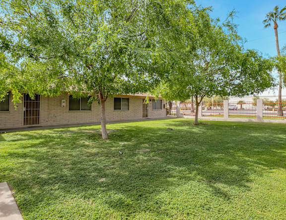 A tree in a grassy area in front of a building.