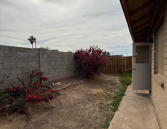 A backyard with a wall, a bush, and a door.