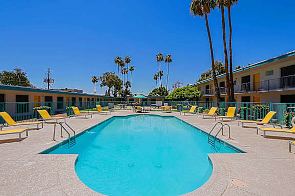 A large swimming pool surrounded by yellow sun loungers and palm trees.