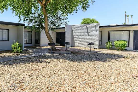 A tree in front of a house with a gravel driveway.