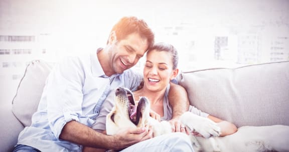 a couple playing with their dog on the couch