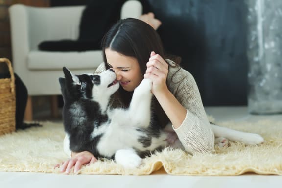 a woman is playing with her dog on the floor