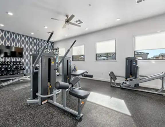 A gym with a variety of equipment including a squat rack, a leg press machine, and a bench press.