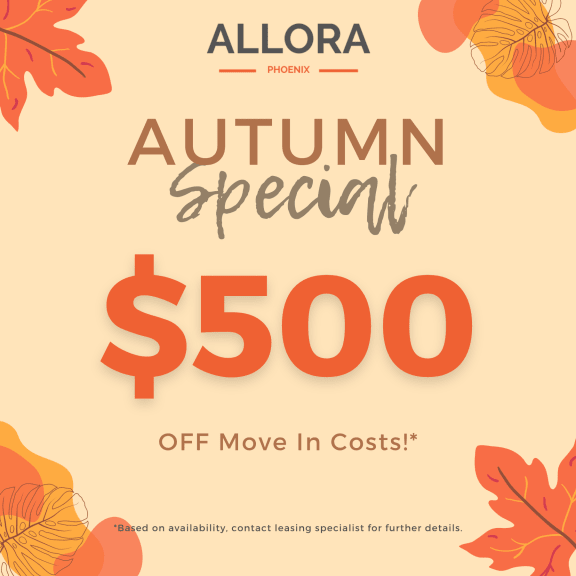 our autumn specials are back!