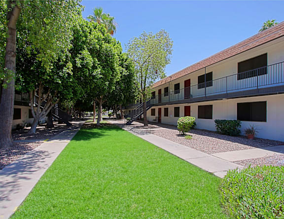 A sunny day at the courtyard with green grass and trees.