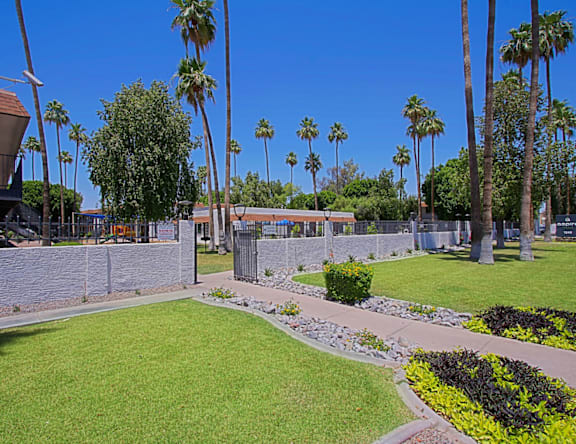 A sunny day at a park with palm trees and a stone wall.