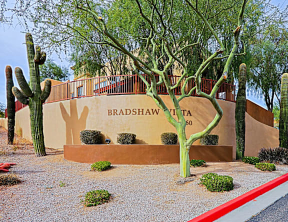 A cactus garden in front of a building with the name Bradshaw on it.