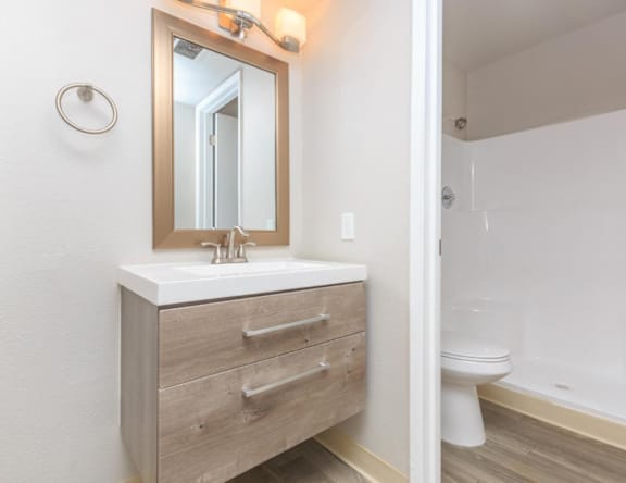 A bathroom with a sink, mirror, and toilet.