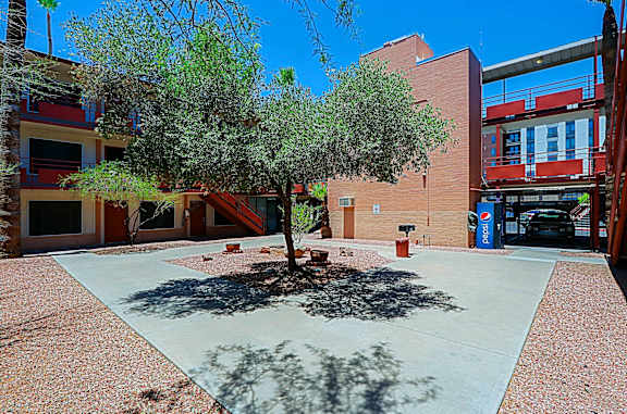 A tree in a courtyard with a brick floor and a brick building in the background.