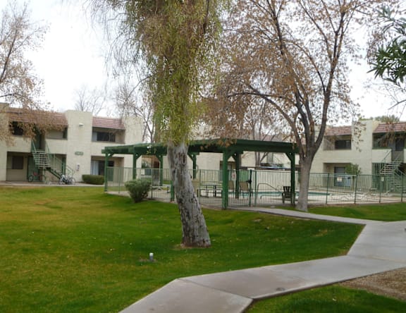 A tree with a green canopy stands in front of a white building.