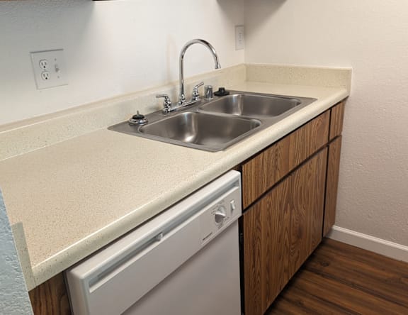 A kitchen with a white sink and a dishwasher.