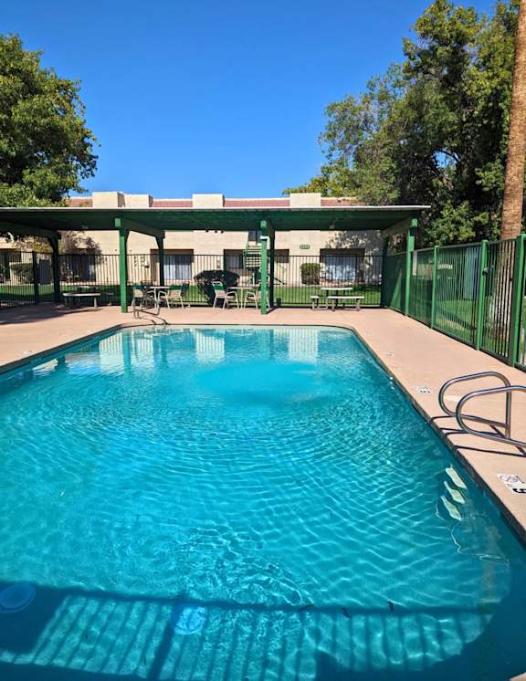 A swimming pool with a green fence and trees in the background.
