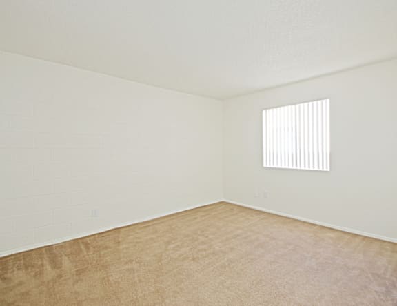 A room with a window and a carpeted floor.