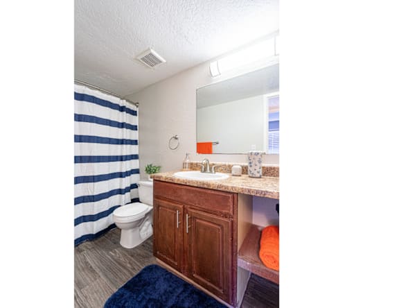 Apartment bathroom — representative home at Montecito Apartments.