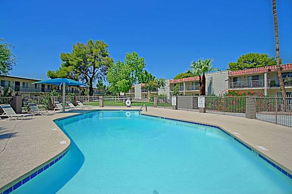 A swimming pool in a sunny outdoor setting.