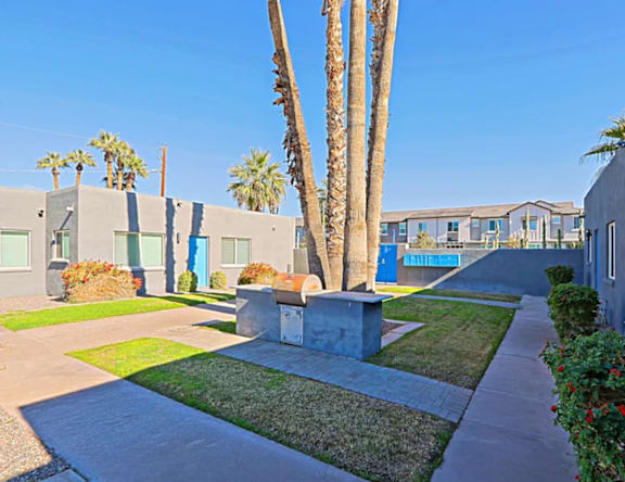 A row of houses with a palm tree in front.
