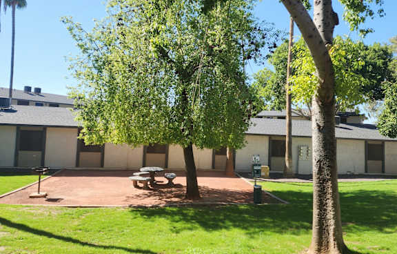 A tree in a yard in front of a building.