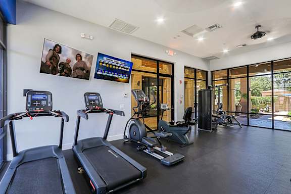 A gym with treadmills, elliptical machines, and a television.