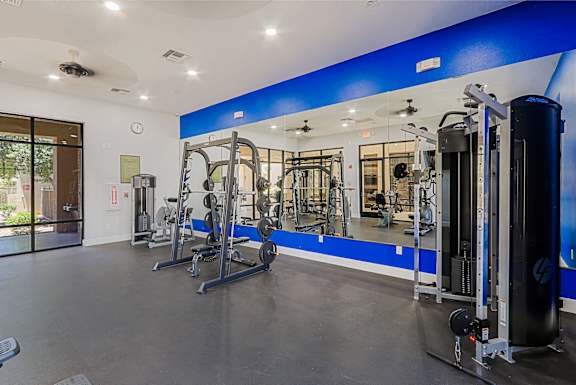 A gym with a variety of equipment including a squat rack, a leg press machine, and a weight bench.