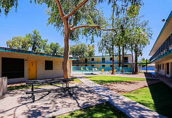 A tree stands in the middle of a playground.