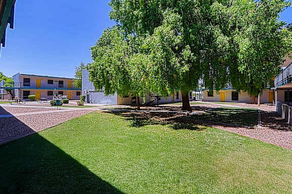 A tree in a grassy area in front of a building.