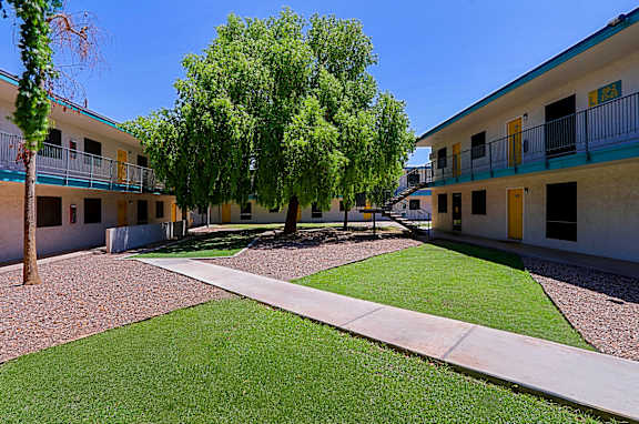 A courtyard with a tree in the middle and a building on the left.