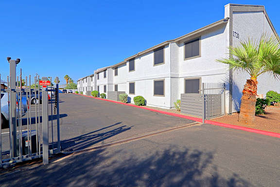 A row of houses with a palm tree in front of the first one.