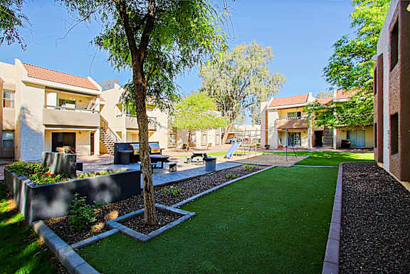 A tree in a small garden in front of a building.
