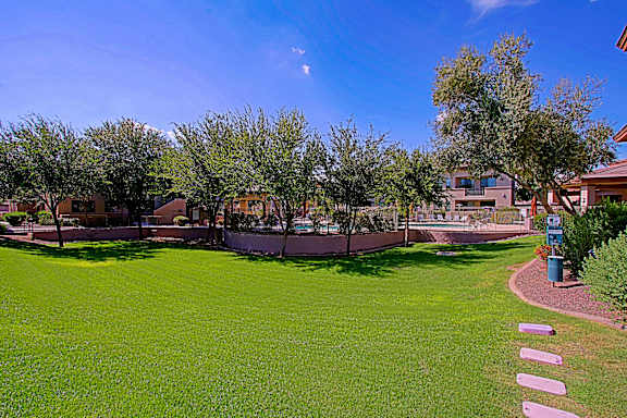 A green lawn with trees and a fence in the background.