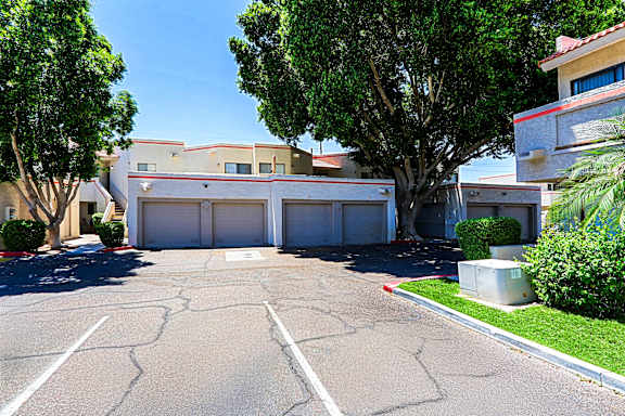 A large tree is in front of a building with a white garage door.