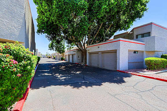 A tree in front of a garage.