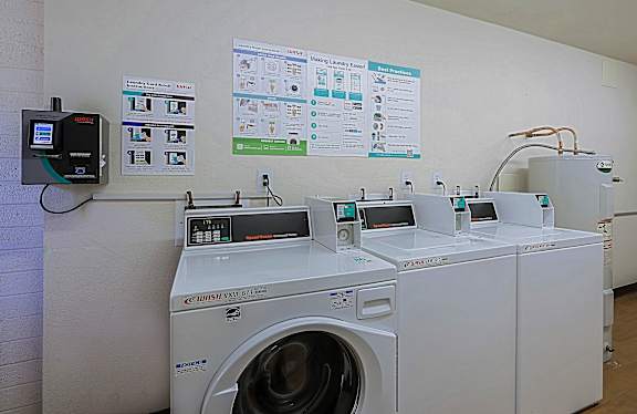 A row of washing machines are lined up in a laundromat.
