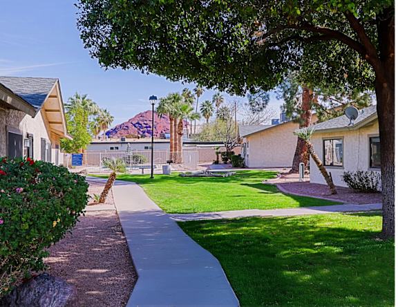 A tree in a yard with a sidewalk.